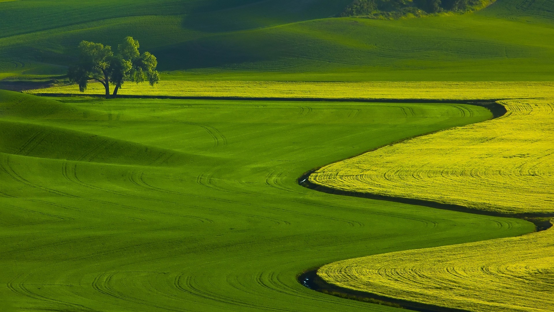 Green-Fields-Nature-Landscape-Wallpaper-1920x1080
