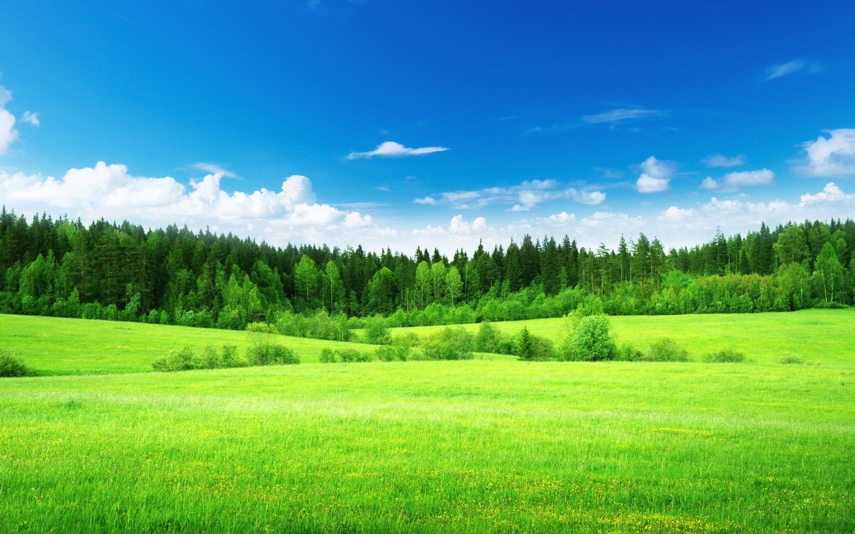 Green-Fields-hd-pictuers