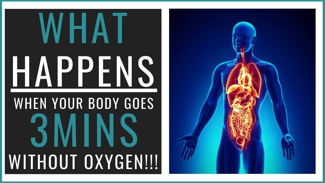What Happens When You Go 3 Minutes Without Oxygen   How To Get More Oxygen Into Your Cells